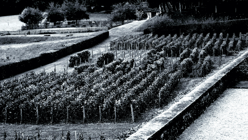 Dom Pérignon’s estate